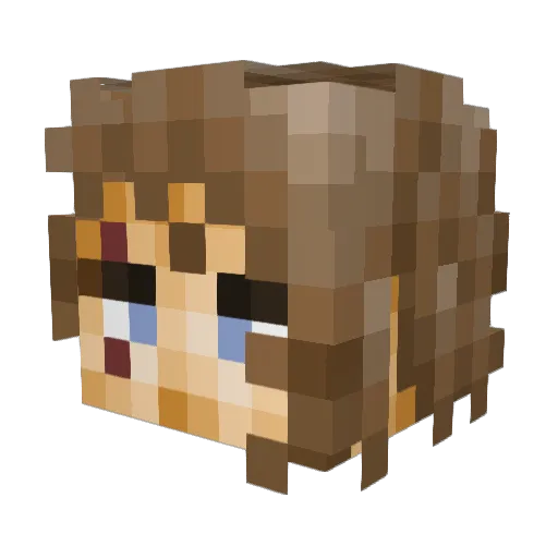 Extremis974 Minecraft avatar head, 3D render