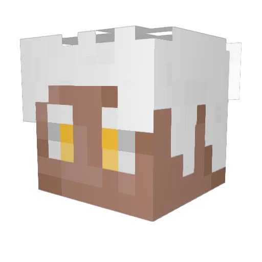 ExtroPierce Minecraft avatar head, 3D render