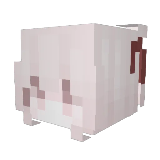 Extroverted Minecraft avatar head, 3D render
