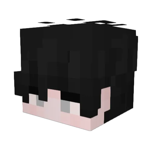 ExtrqDxxk Minecraft avatar head, 3D render