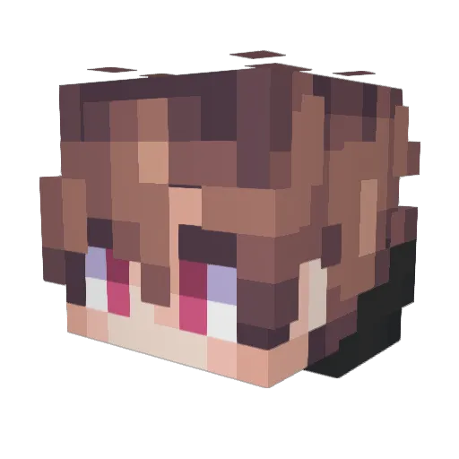 Exyi Minecraft avatar head, 3D render