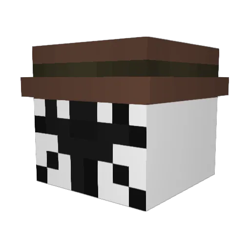 Ey3OnYouN00b Minecraft avatar head, 3D render
