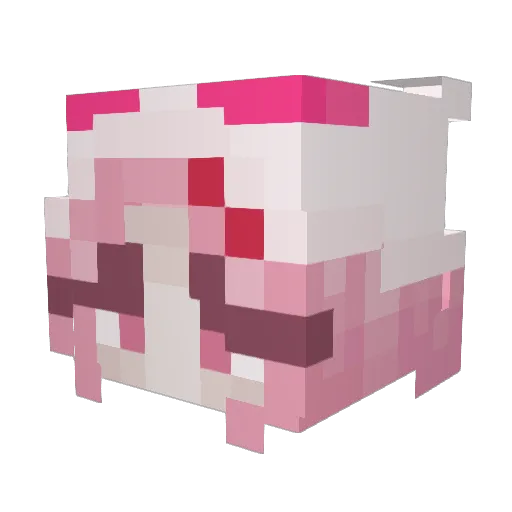 EySook Minecraft avatar head, 3D render