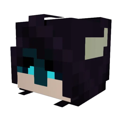 EyeBug Minecraft avatar head, 3D render