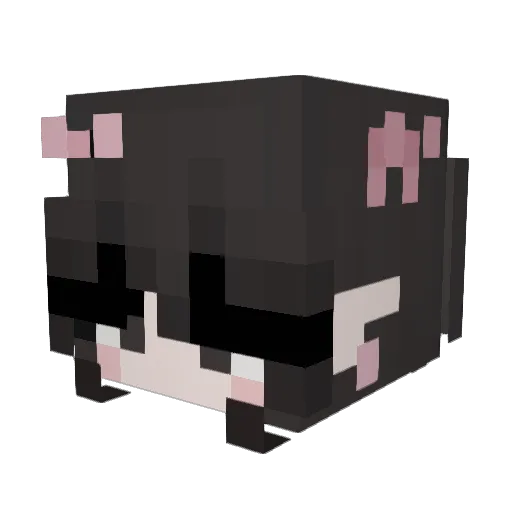 EyeFarted Minecraft avatar head, 3D render