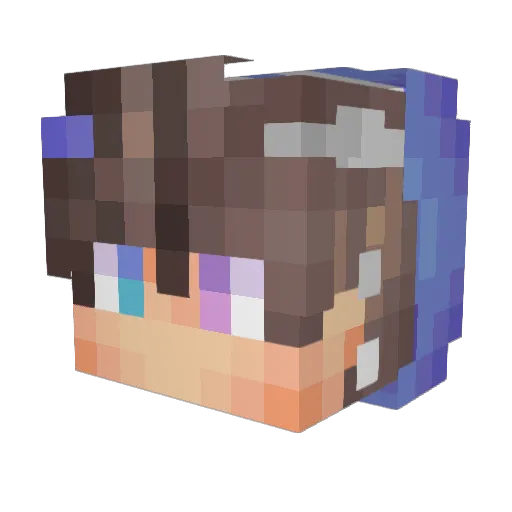 Eyezin Minecraft avatar head, 3D render