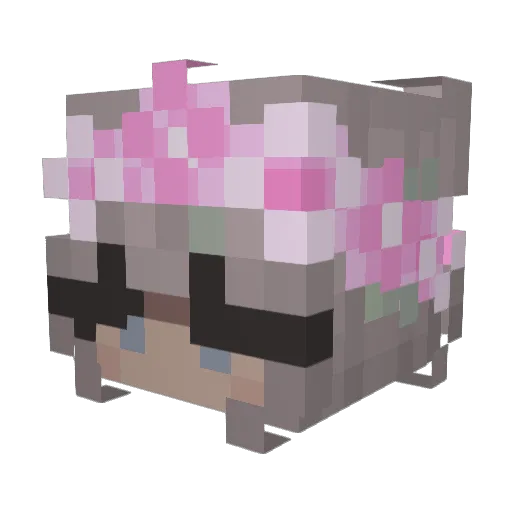 Eyly Minecraft avatar head, 3D render