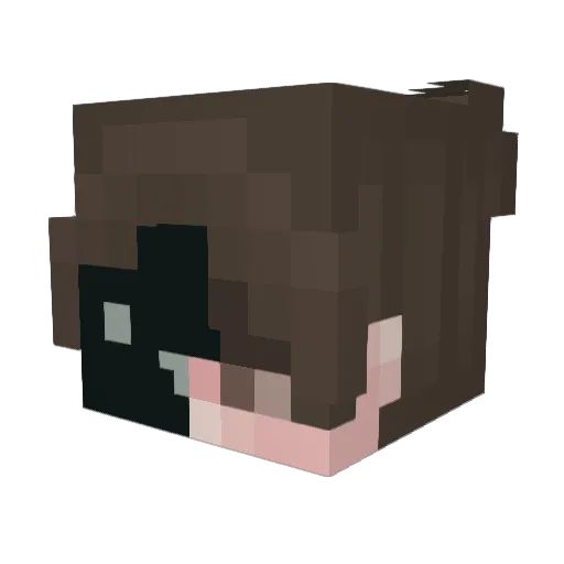 EymenLo12 Minecraft avatar head, 3D render