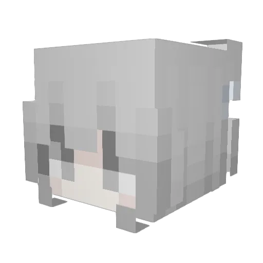 Eyou233 Minecraft avatar head, 3D render