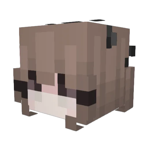 Eyta Minecraft avatar head, 3D render