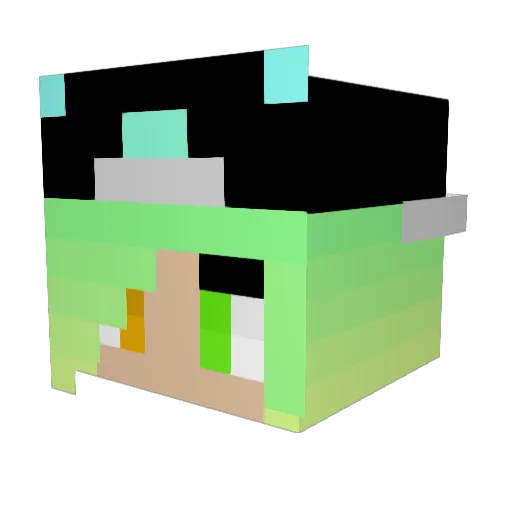 EyungWaa Minecraft avatar head, 3D render