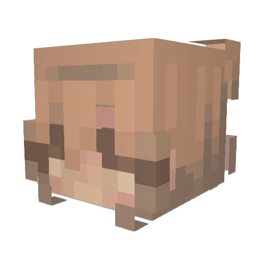 Eyvo Minecraft avatar head, 3D render