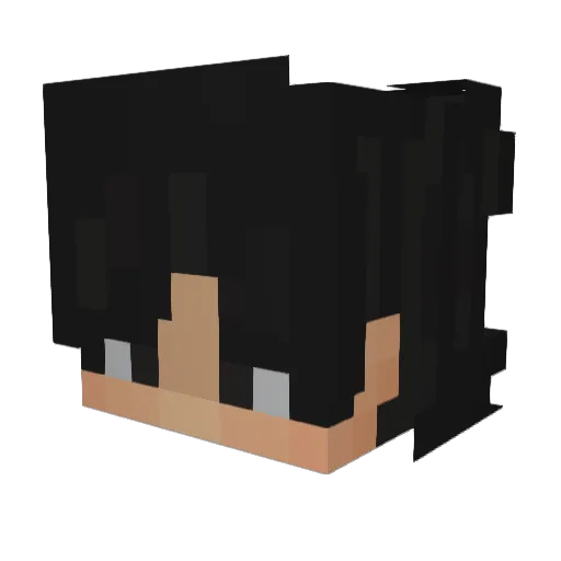 EzSalinas12 Minecraft avatar head, 3D render