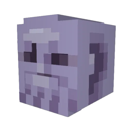 Ezbro69 Minecraft avatar head, 3D render