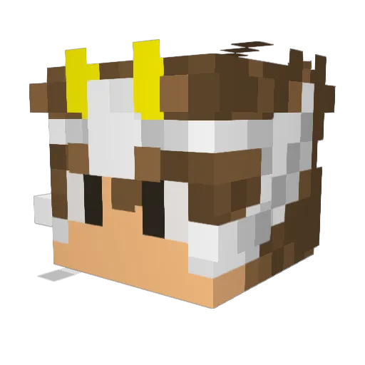 EzeOrti6795 Minecraft avatar head, 3D render