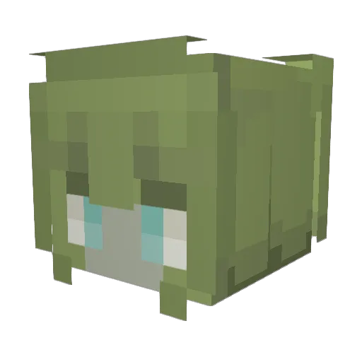 Ezo_salt Minecraft avatar head, 3D render
