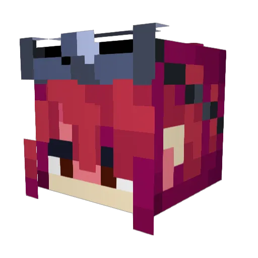 EzraEzraEzra Minecraft avatar head, 3D render