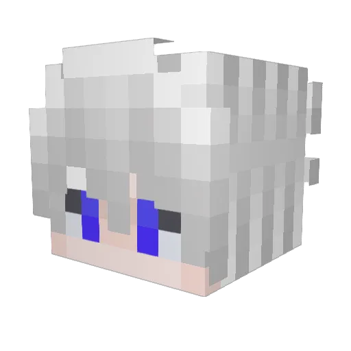 Ezsll Minecraft avatar head, 3D render