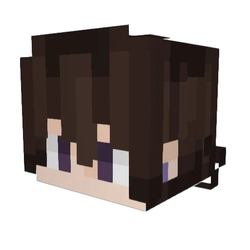 Eztofish10604 Minecraft avatar head, 3D render