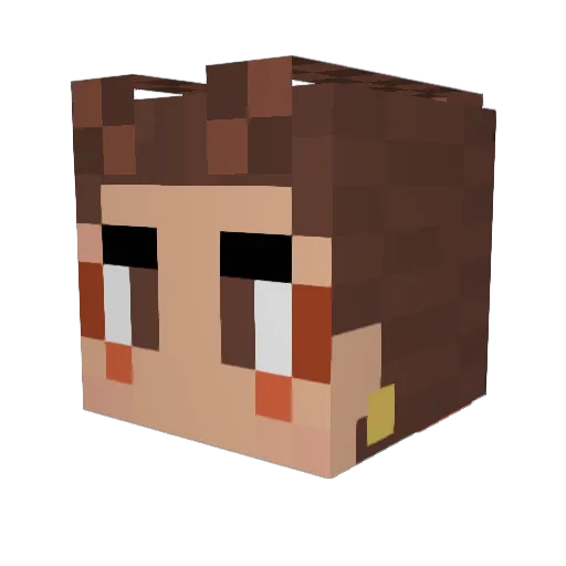 Ezza1001 Minecraft avatar head, 3D render
