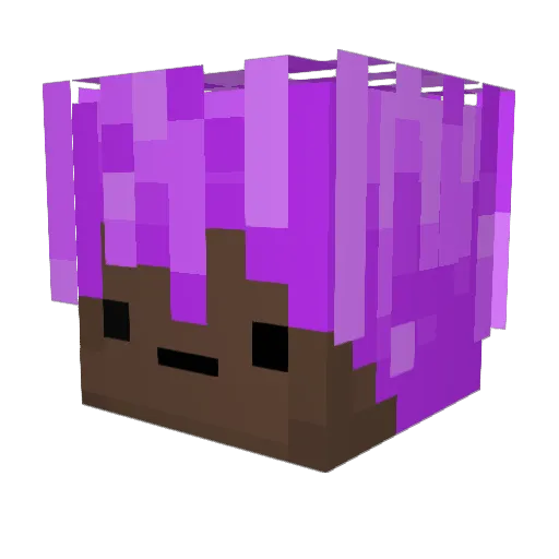 Ezzilol Minecraft avatar head, 3D render