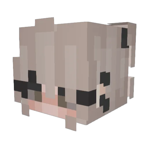 Ezzy17 Minecraft avatar head, 3D render