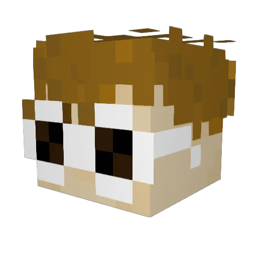F01_ Minecraft avatar head, 3D render