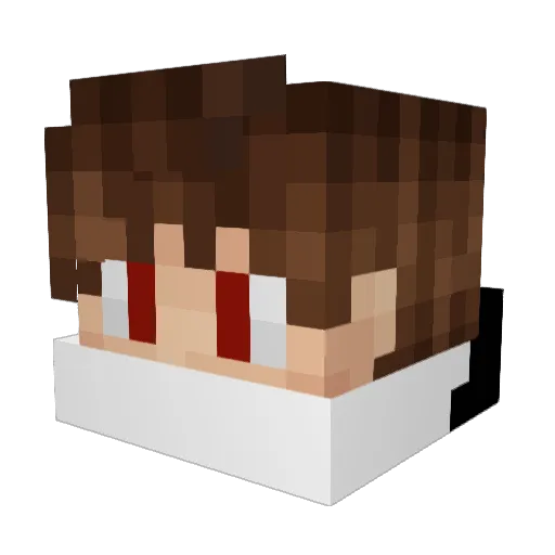 F03BIA Minecraft avatar head, 3D render