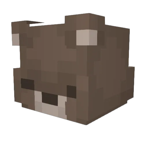 F0RESTCORE Minecraft avatar head, 3D render