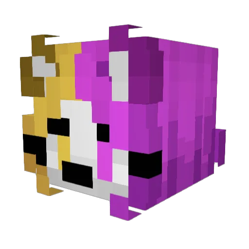 F0rcedGash Minecraft avatar head, 3D render