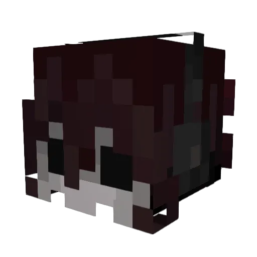 F0rg0ttenPio Minecraft avatar head, 3D render