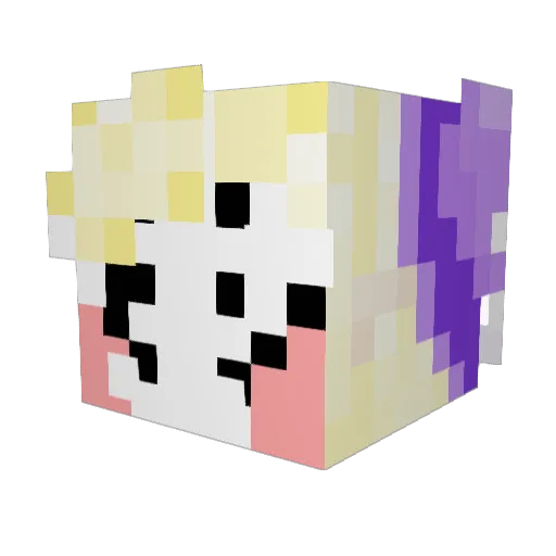 F0und_ Minecraft avatar head, 3D render