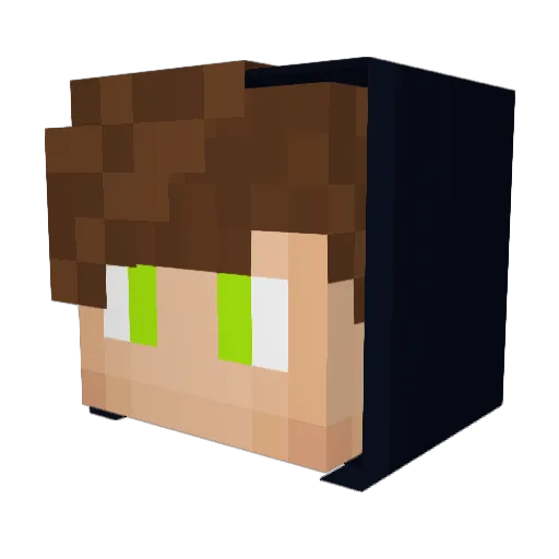 F0x_111 Minecraft avatar head, 3D render