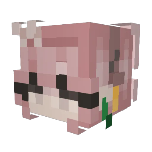 F0xyJ Minecraft avatar head, 3D render
