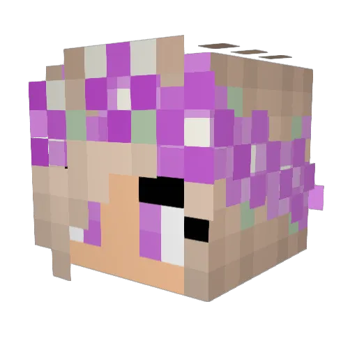 F0zzyB Minecraft avatar head, 3D render