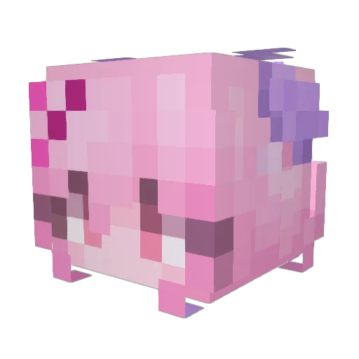 F10WEY_CHENCY Minecraft avatar head, 3D render