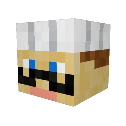 F15CHER Minecraft avatar head, 3D render