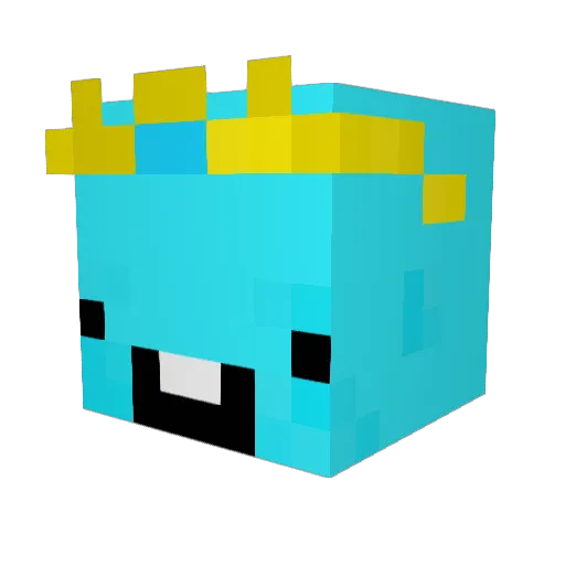 F1BB1Y Minecraft avatar head, 3D render