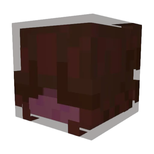 F1Cars Minecraft avatar head, 3D render
