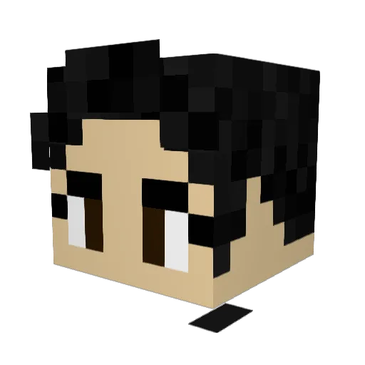 F1FI_ESZ Minecraft avatar head, 3D render