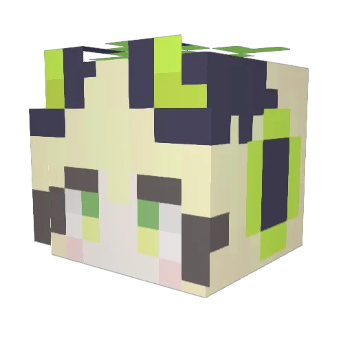 F1N2 Minecraft avatar head, 3D render