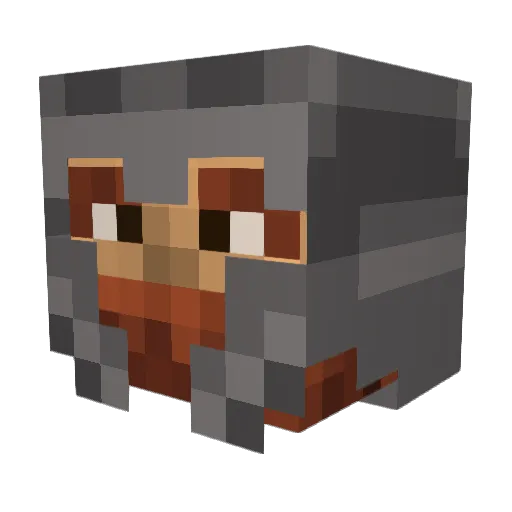 F1NL3Y Minecraft avatar head, 3D render
