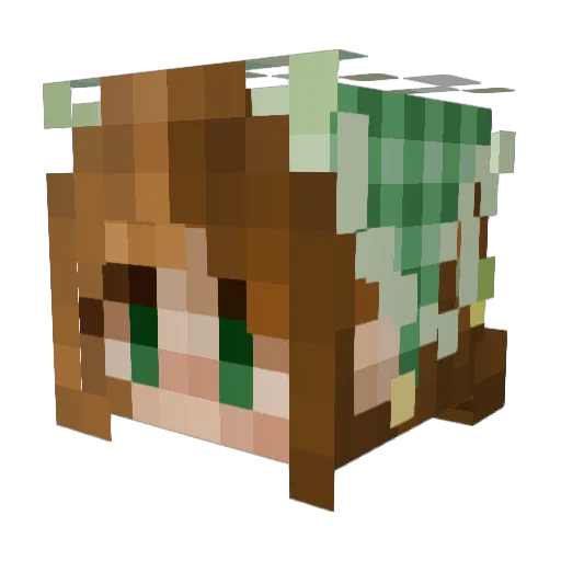 F1Niamh05 Minecraft avatar head, 3D render