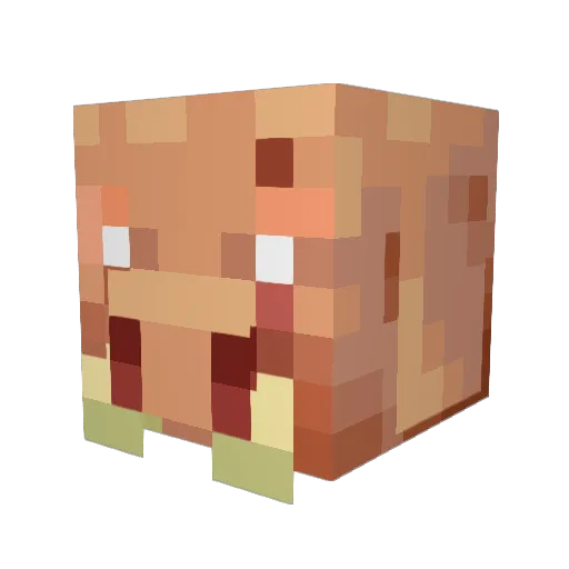 F1SHYYY_pvp Minecraft avatar head, 3D render