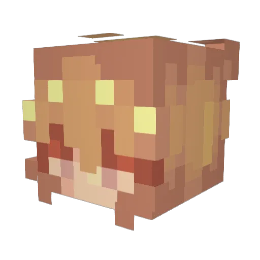F1airon Minecraft avatar head, 3D render