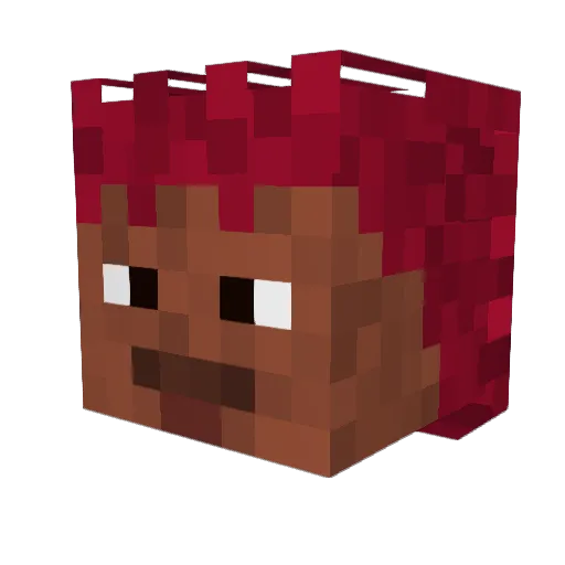 F1ash6ang Minecraft avatar head, 3D render