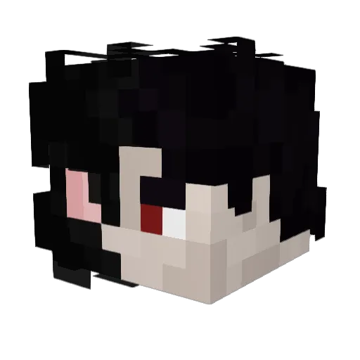 F1ashBackss Minecraft avatar head, 3D render