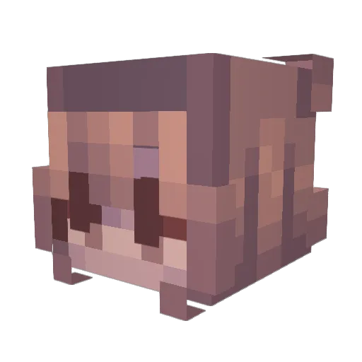 F1ashee Minecraft avatar head, 3D render