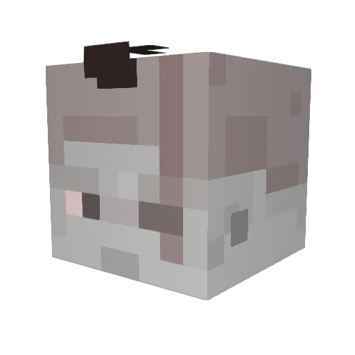 F1lzed Minecraft avatar head, 3D render