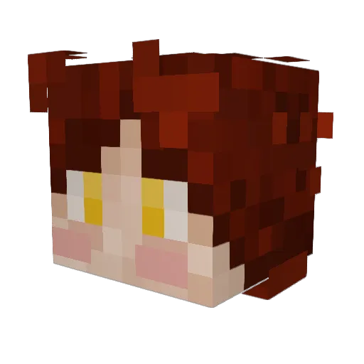 F1nchii Minecraft avatar head, 3D render